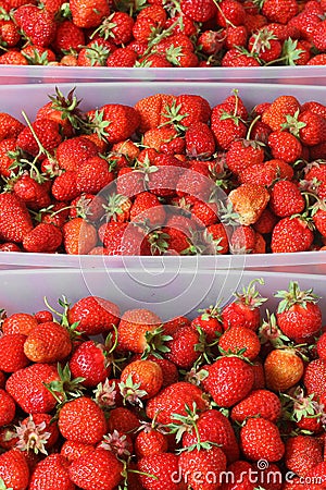 Strawberry. Background of strawberries. Tasty background Stock Photo