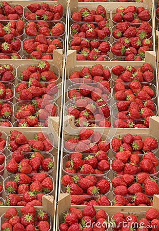 Strawberry baskets Stock Photo