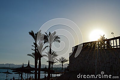 Strawberry beach sun-protective summer umbrellas made from hay, straw-shaped hats against the backdrop of the palm tops and copy t Editorial Stock Photo