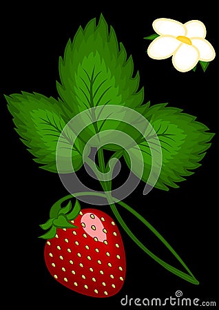 Strawberry berries on the bush - vertical illustration Vector Illustration