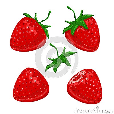 Strawberry berries set Vector Illustration