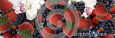 Strawberry and blackberry background banner fruits and berry vitamines healhy food Stock Photo