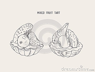 Strawberry and blueberry mini tart , sketch vector. Vector Illustration