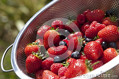 Strawberry, blueberry and rasberries Stock Photo