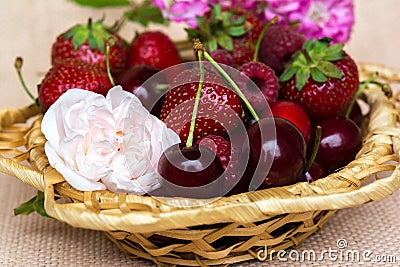 Strawberry, cherry and raspberry Stock Photo