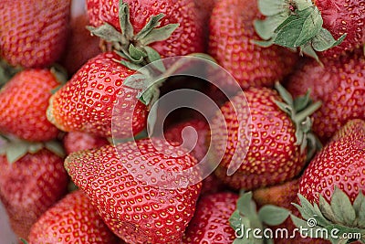 Fresh harvest strawberries background. Stock Photo
