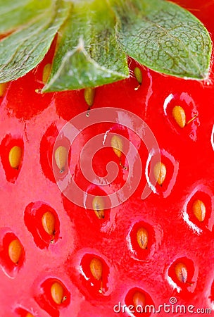 Strawberry closeup detail Stock Photo