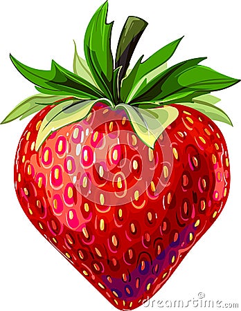 Strawberry. delicious strawberries. sweet strawberry. red. picture Vector Illustration