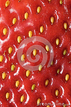 Strawberry detail Stock Photo