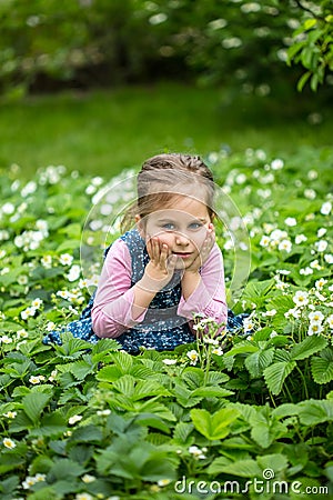Strawberry flowerchild in a blooming strawberry Stock Photo