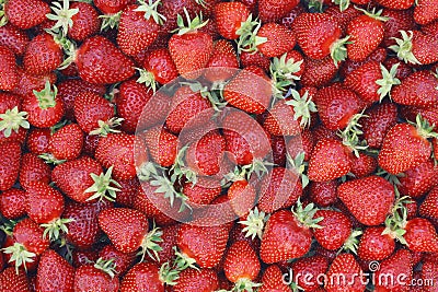 Strawberry Stock Photo