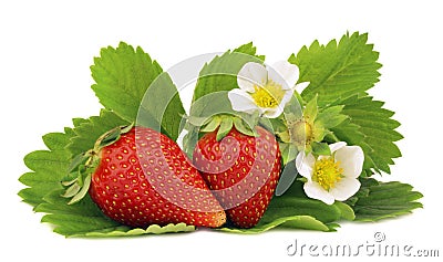 Strawberry Stock Photo