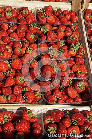 STRAWBERRY FRUIT Stock Photo