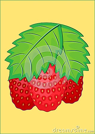 STRAWBERRY Vector Illustration