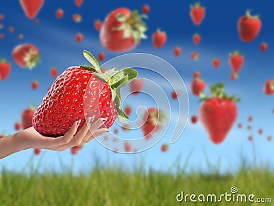 Strawberry in hand Stock Photo