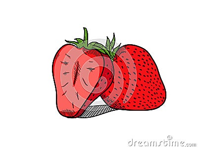 Strawberry Hand drawn style simple Stock Photo