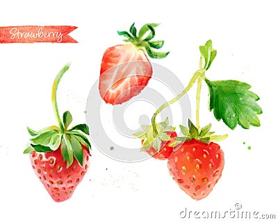 Strawberry hand-painted watercolor illustration Cartoon Illustration