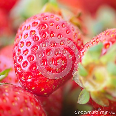 Strawberry healthy natural fresh food closeup Stock Photo