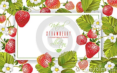 Strawberry horizontal banner Vector Illustration