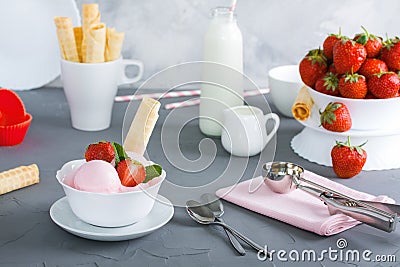 Strawberry ice cream in white plate with berrys wafer tubule Stock Photo