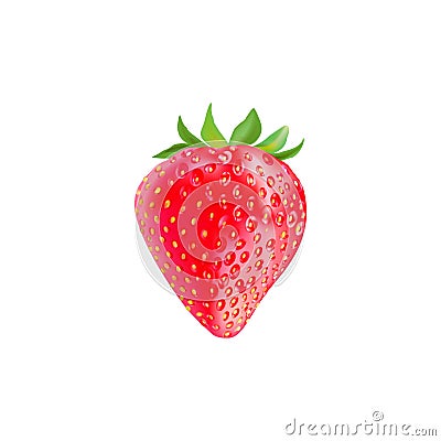 Strawberry. Isolated. 3D. Vector in EPS10 Vector Illustration