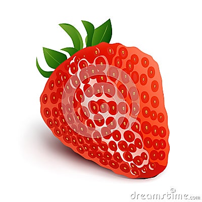 Strawberry isolated on white background-Vector Illustration Vector Illustration