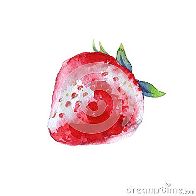 Strawberry. Isolated on a white background. Watercolor illustration. Cartoon Illustration