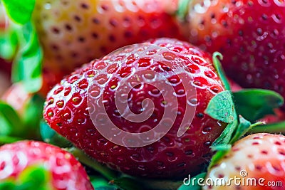 Strawberry macro closeup Stock Photo