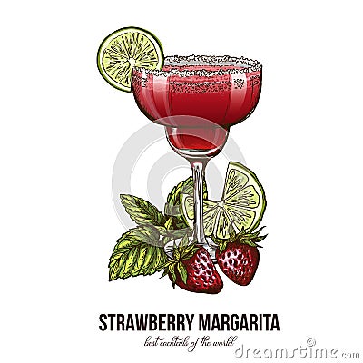 Strawberry Margarita cocktail with berries Vector Illustration