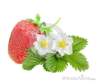 Strawberry over white background Stock Photo