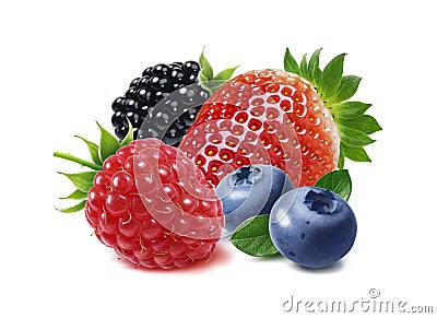 Strawberry, raspberry, blackberry and blueberry isolated Stock Photo