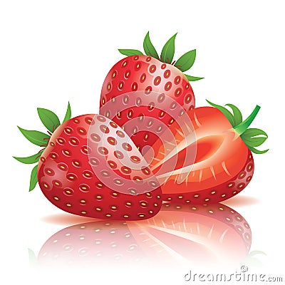 Strawberry Vector Illustration