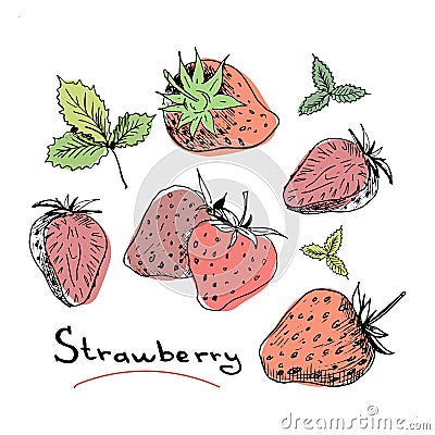 Strawberry set. Collection of isolated sketchy style strawberries. Colored doodle berries. Hand drawn vector Vector Illustration