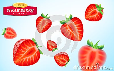 Strawberry set, detailed realistic ripe juicy halves of strawberry Vector Illustration