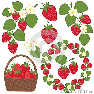 Strawberry Set Vector Illustration