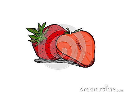 Strawberry Simple Illustration Hand drawn Vector Illustration