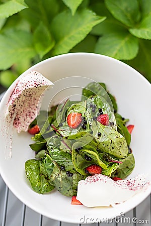 Strawberry and Spinach Salad with Balsamic Vinegar Pearls and Cream Cheese Stock Photo