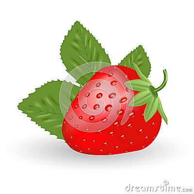 Strawberry. Sweet Fruit Isolated On A White Background. Vector Illustration