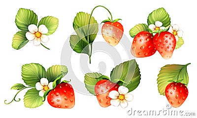 Strawberry. Sweet fruit. Set isolated on white background. Stock Photo