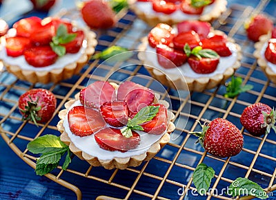 Strawberry tarts, small shortcrust tarts with the addition of cream cheese, fresh strawberries and mint on cooling tray on a dark Stock Photo