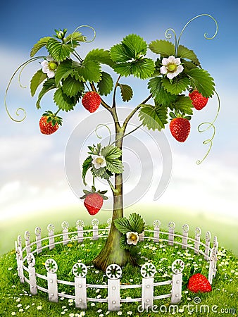 Strawberry Tree Stock Photo