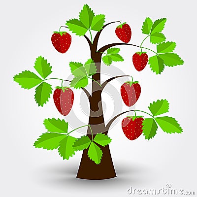 Strawberry tree Vector Illustration