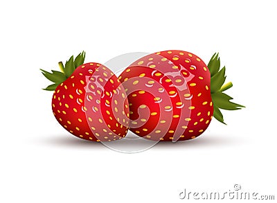 Strawberry vector fresh berry desert. Fruit sweet food Vector Illustration