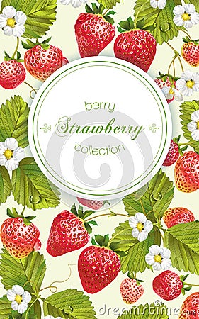 Strawberry vertical banner Vector Illustration