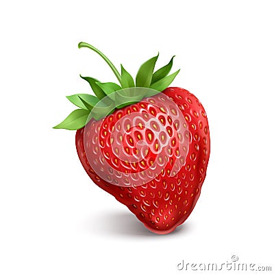 Strawberry Vector Illustration