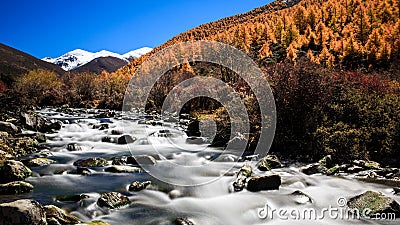 The stream Stock Photo