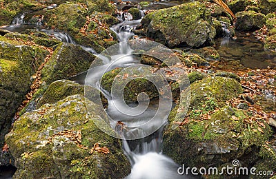 The stream below Dickson Falls in Fundy National Park, New Brunswick, Canada, in autumn. Stock Photo