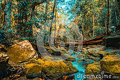 Stream flowing on rocks in Somersby Falls picnic area on a sunny day in New South Wales, Australia Stock Photo