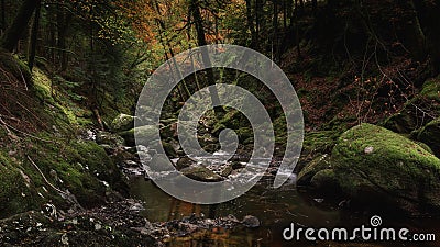 Stream flowing in rocky gorge, in autumn woodland Stock Photo