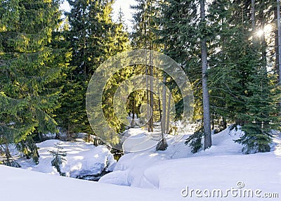 Stream flowing through a thick cover of snow in the Jizera Mountains, Czech Republic, Europe. Stock Photo